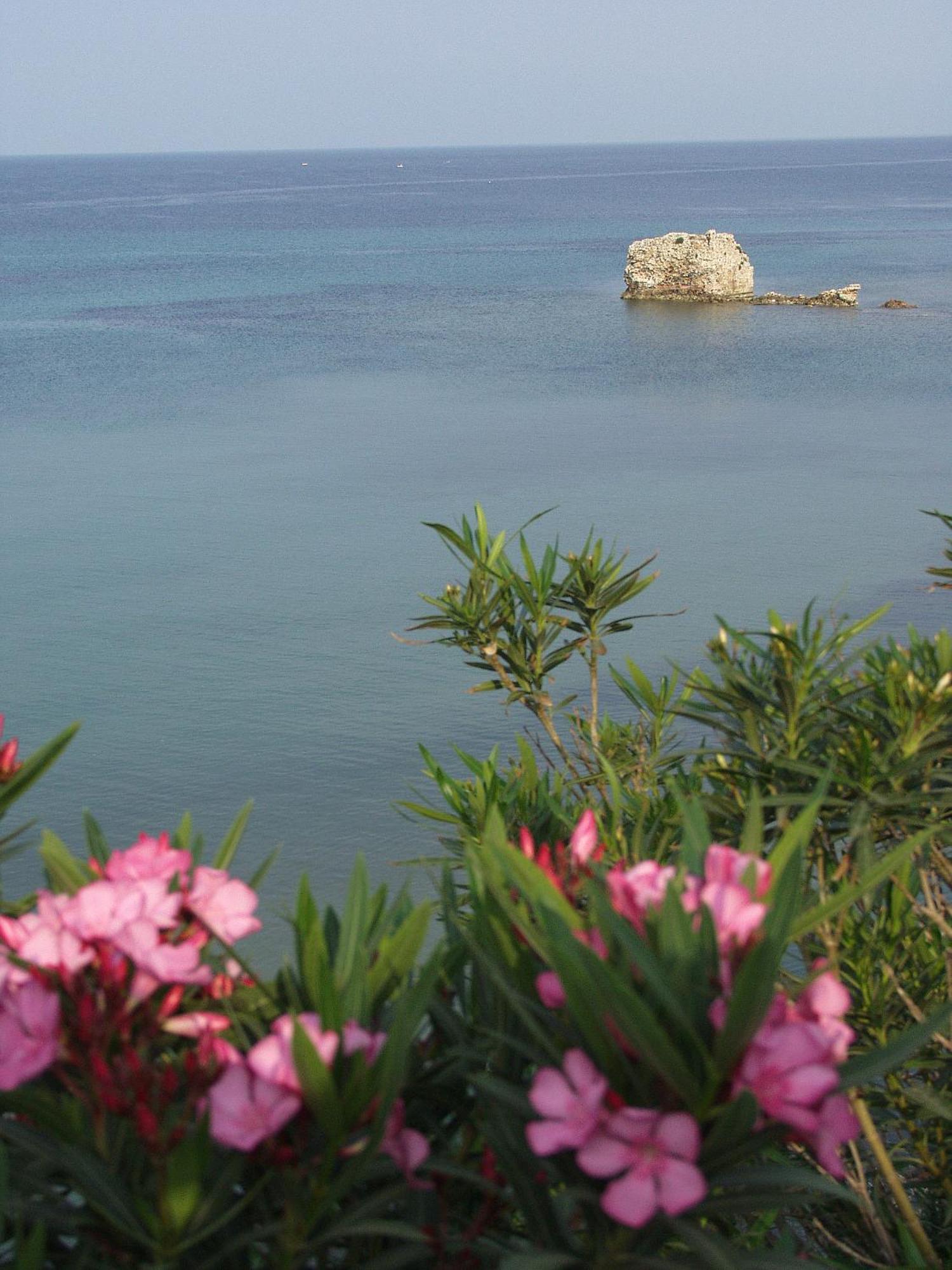 نيا بوتيدايا Seaview Aparthotel المظهر الخارجي الصورة